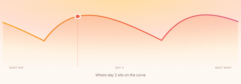 The estimated medication curve across a weekly cycle, with day 2 marked